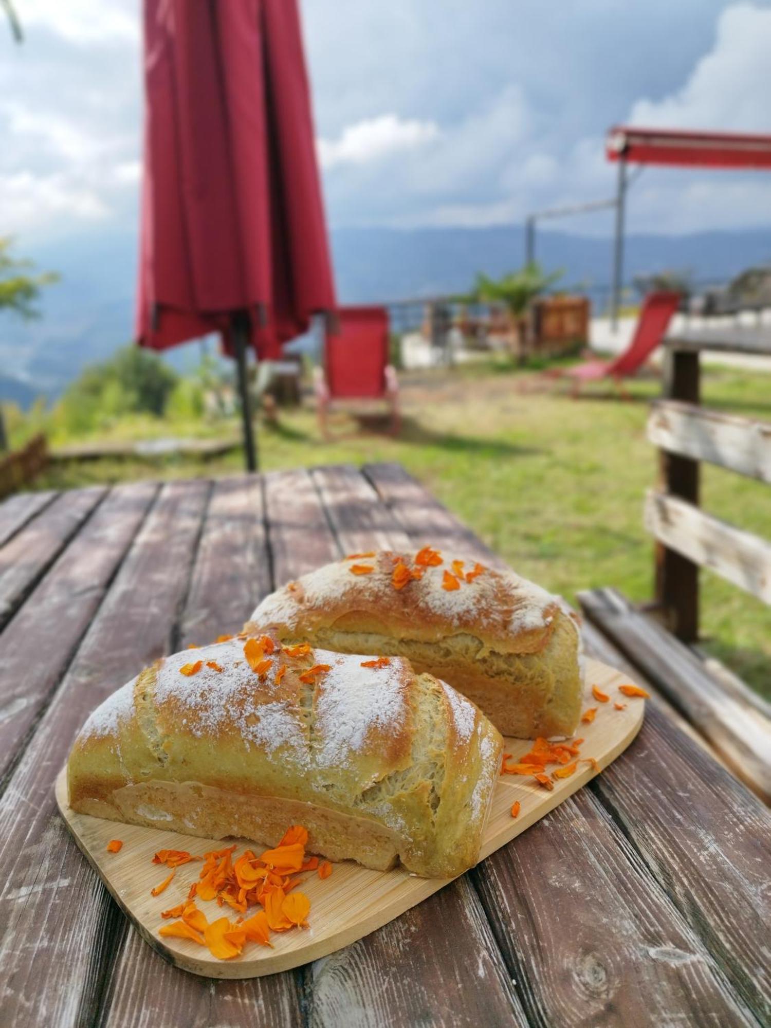 Hayat Oksijen Resort AltınAltınordu Exterior foto